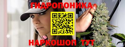 шишки Можайск