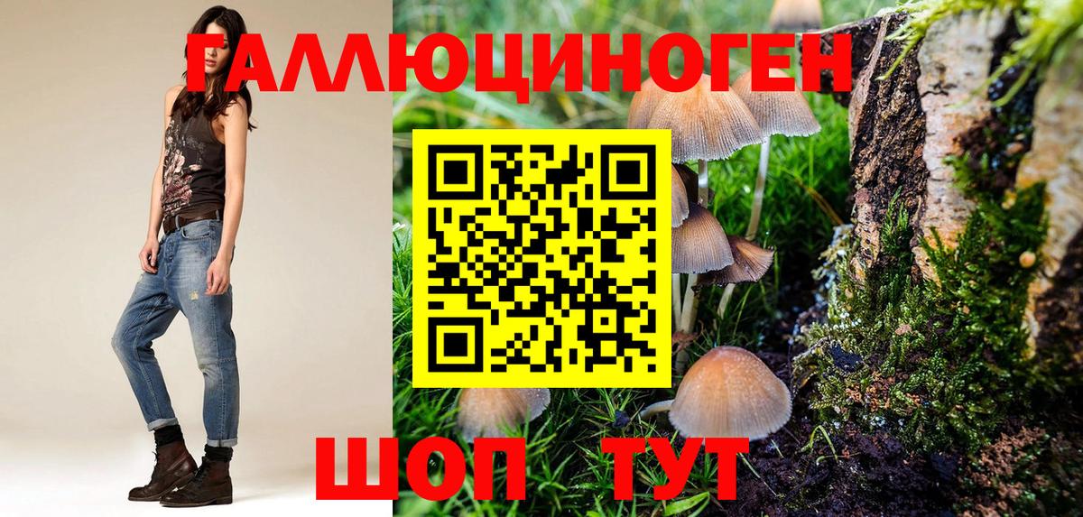 Хасавюрт  Галлюциногенные грибы Magic Shrooms  Вход с VPN 