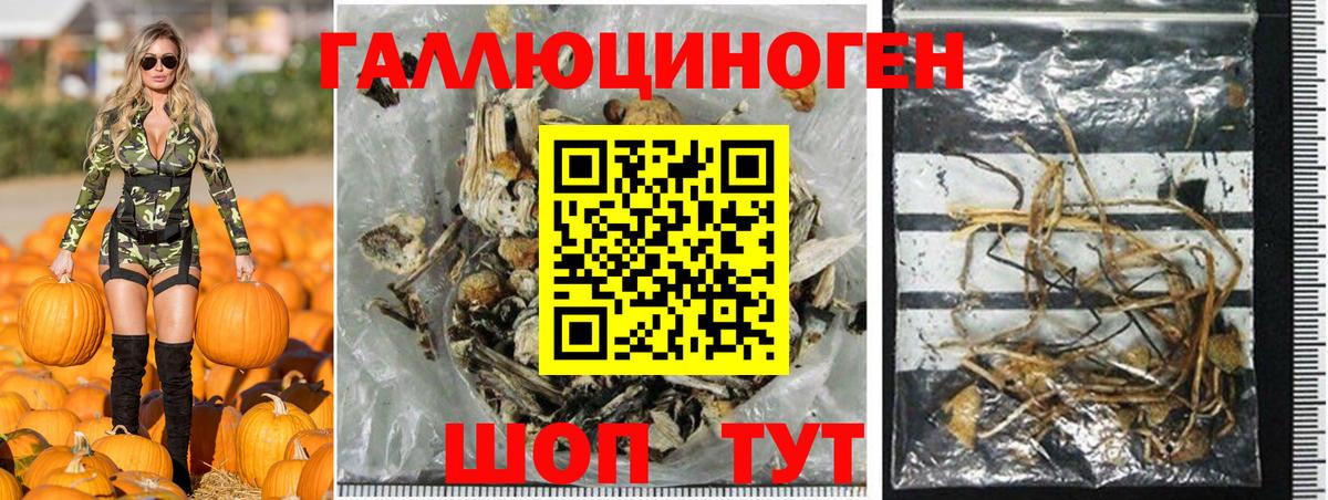 Псилоцибиновые грибы ЛСД Хасавюрт